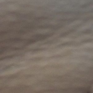 Meet your Posher, Sandy